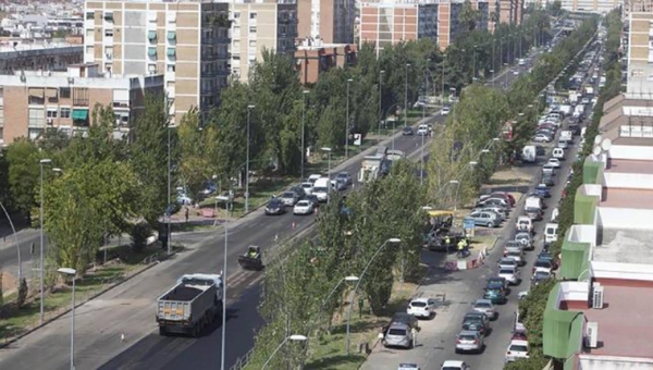 La mayoría se juega desde Levante al Sector Sur