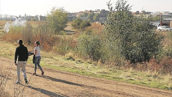 Urbanismo aprueba un presupuesto que dedica 2 millones de euros a espacios libres y zonas verdes