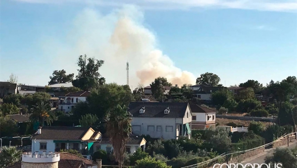 Declarado un incendio en el paraje de La Campiñuela