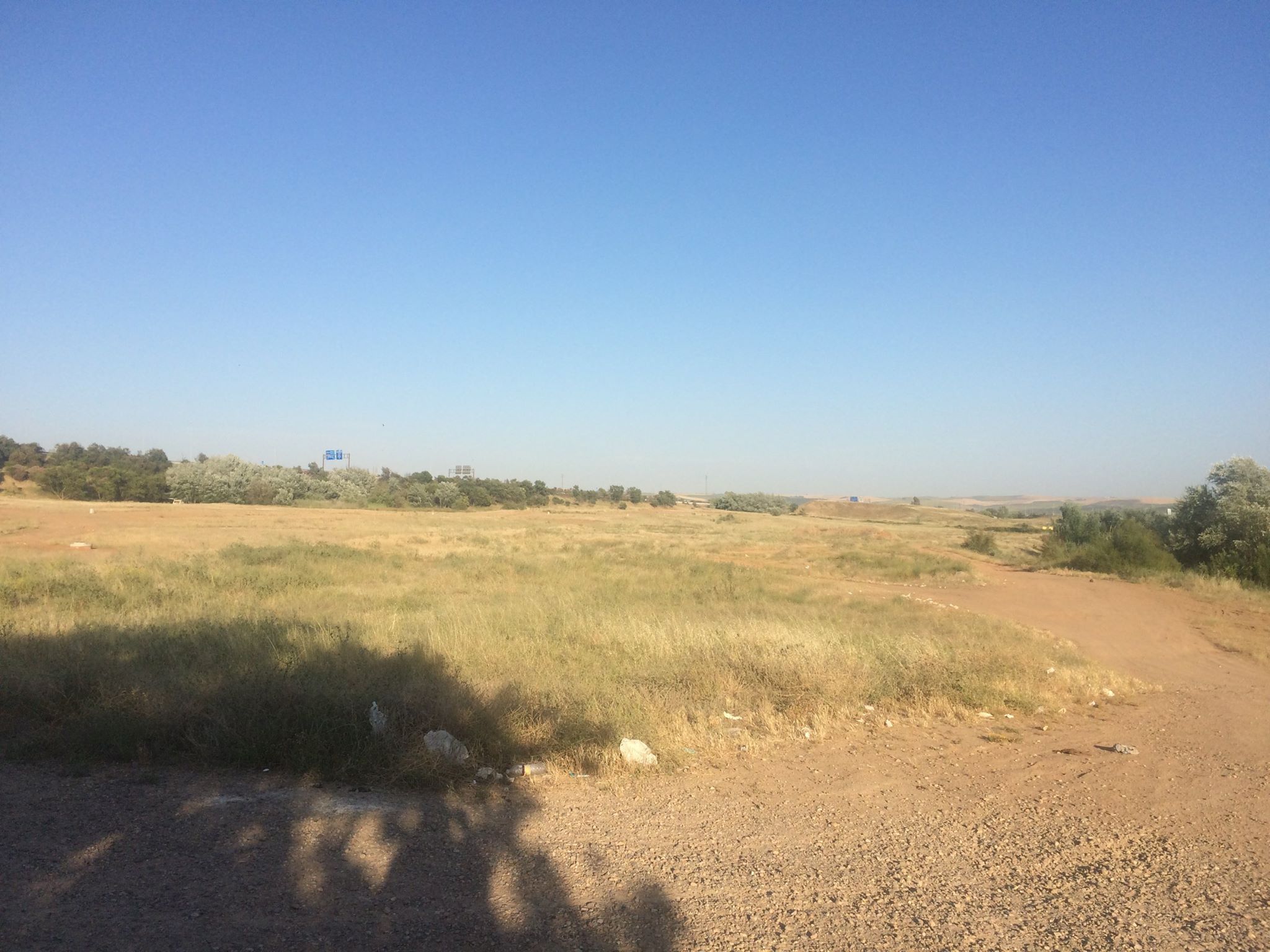 Nueve empresas optan a ejecutar la obra del Parque de Levante