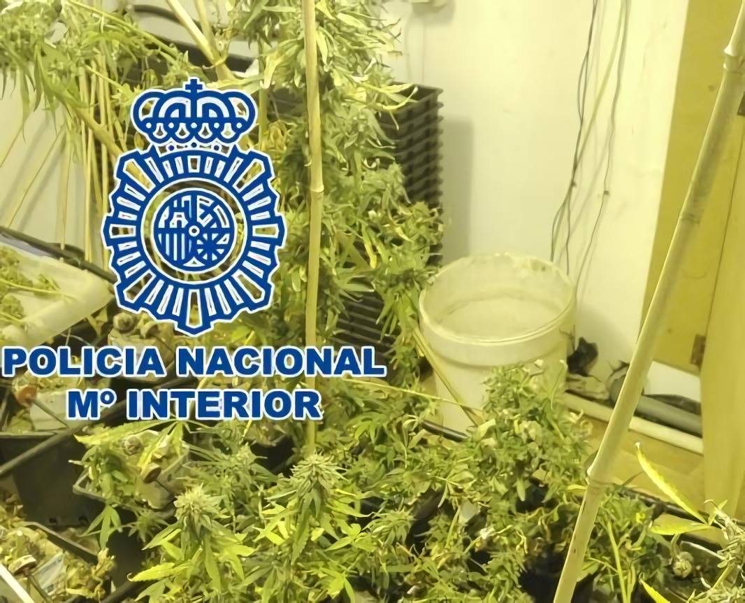 Detienen a dos personas por posesión de hachís y marihuana