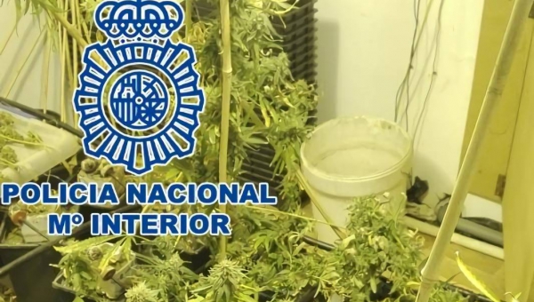 Detienen a dos personas por posesión de hachís y marihuana