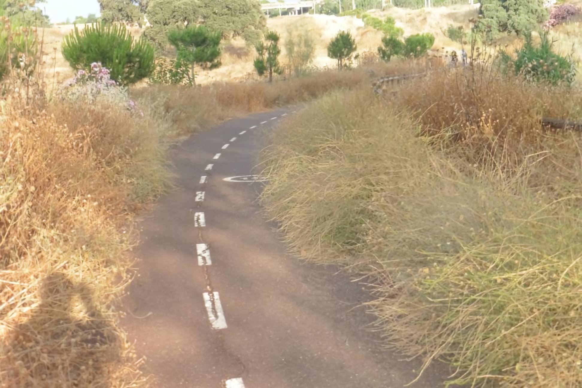 Equo denuncia el abandono del carril bici a Rabanales