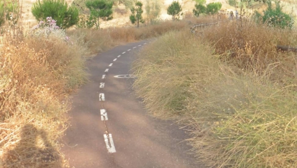 Equo denuncia el abandono del carril bici a Rabanales