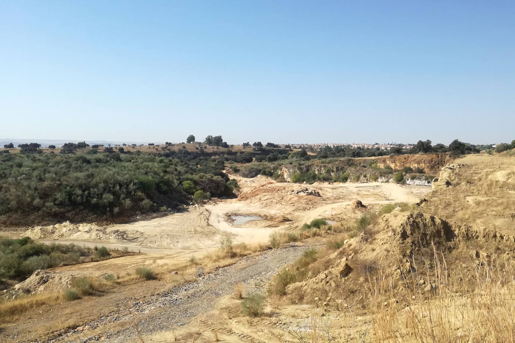 La Sociedad de Historia Natural pide preservar humedales en Pedroches