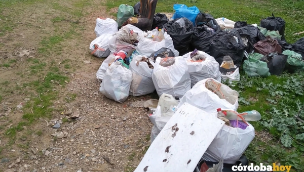 Quemadillas bajas y Fátima: un paisaje lleno de basura a la orilla del Guadalquivir