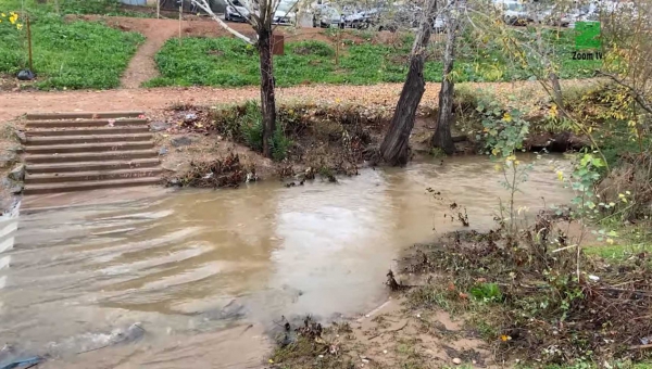 El temporal deja arroyos caudalosos y árboles caídos en Córdoba