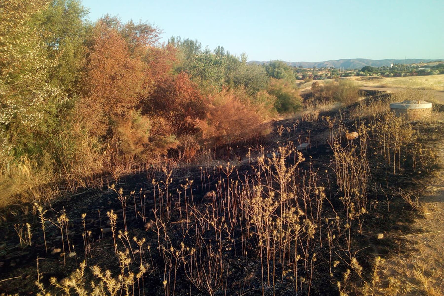 Ecologistas denuncian los incendios provocados en el futuro Parque de Levante y su “grave peligro”