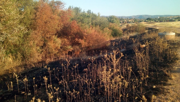 Ecologistas denuncian los incendios provocados en el futuro Parque de Levante y su “grave peligro”