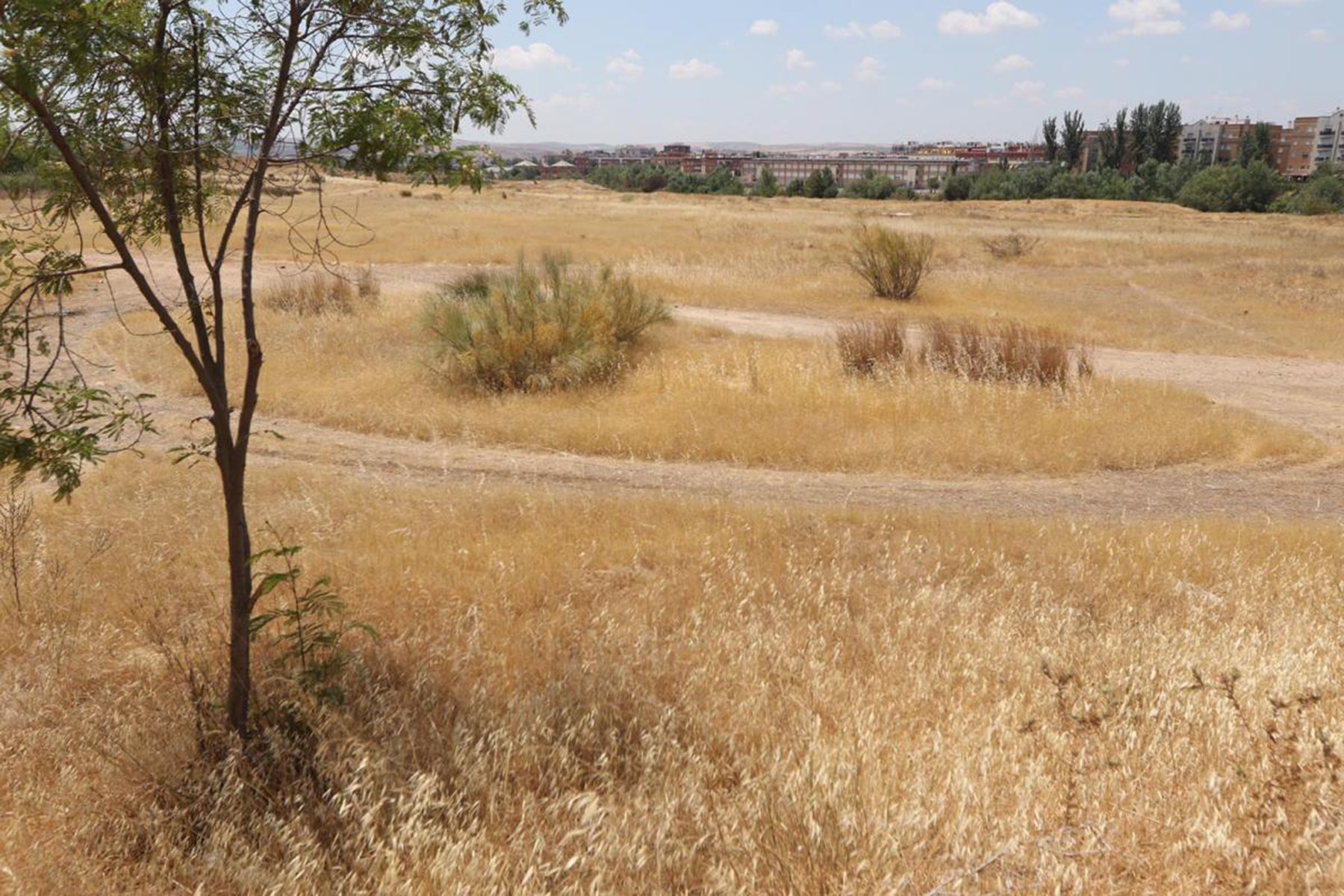 Urbanismo formaliza el contrato que permite el inicio de la obra del Parque de Levante