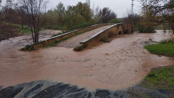 El arroyo Pedroches, muy crecido por Fátima