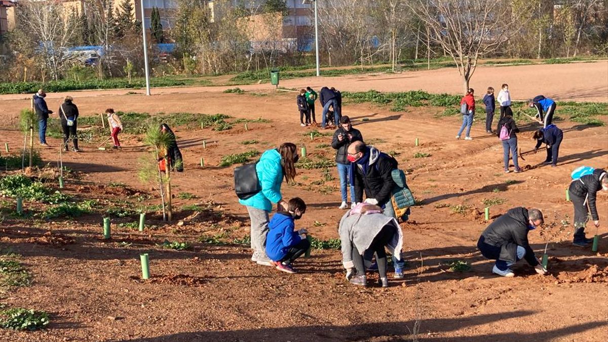 Miembros del Club Baloncesto Córdoba plantan un centenar de árboles en el Parque de Levante 