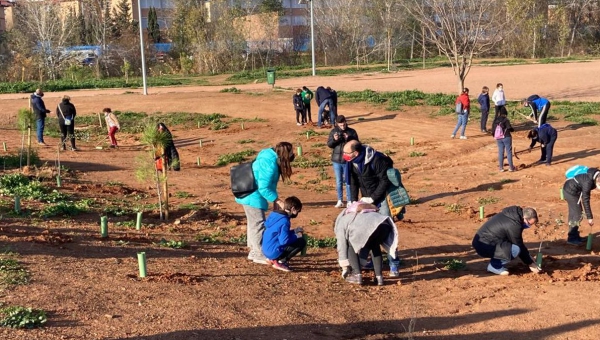 Miembros del Club Baloncesto Córdoba plantan un centenar de árboles en el Parque de Levante 