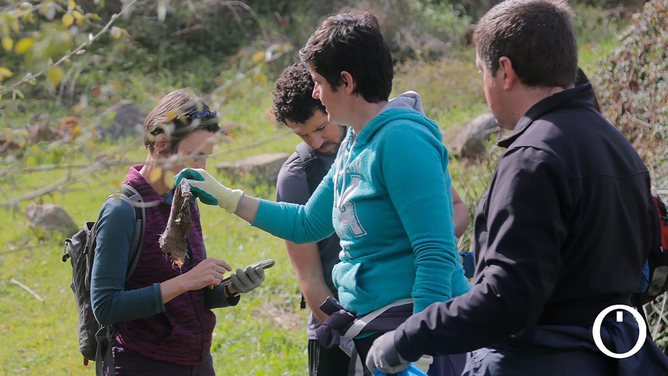 Limpiando la 'basuraleza' del arroyo Pedroche