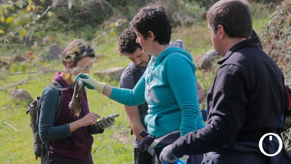 Limpiando la 'basuraleza' del arroyo Pedroche