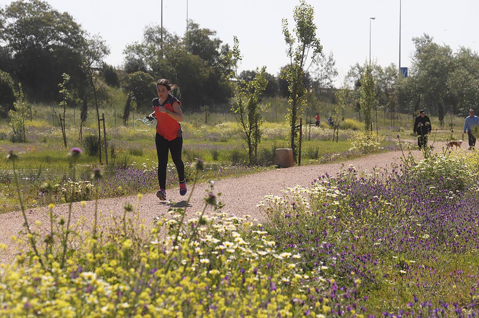 El Parque de Levante contará con tres piscinas y un campo de fútbol