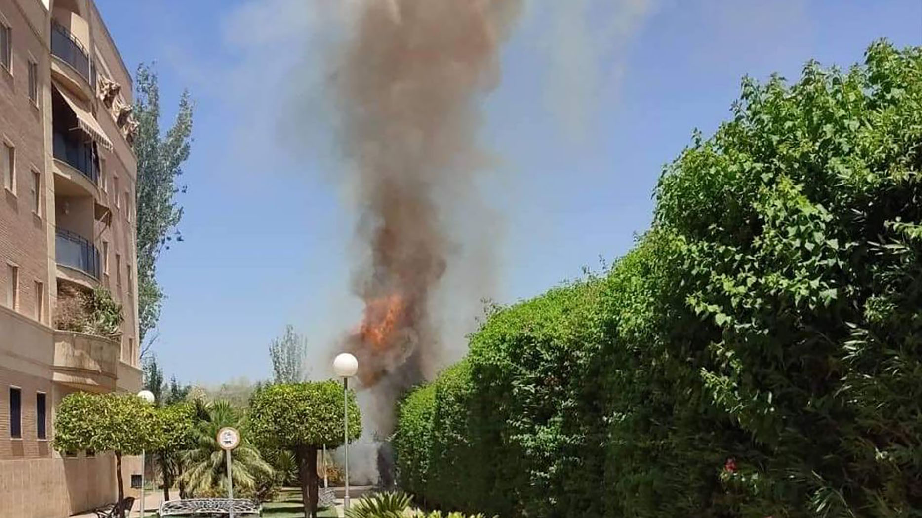 Los bomberos acuden a sofocar un aparatoso incendio de setos en Fátima