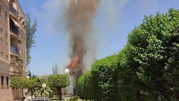 Los bomberos acuden a sofocar un aparatoso incendio de setos en Fátima