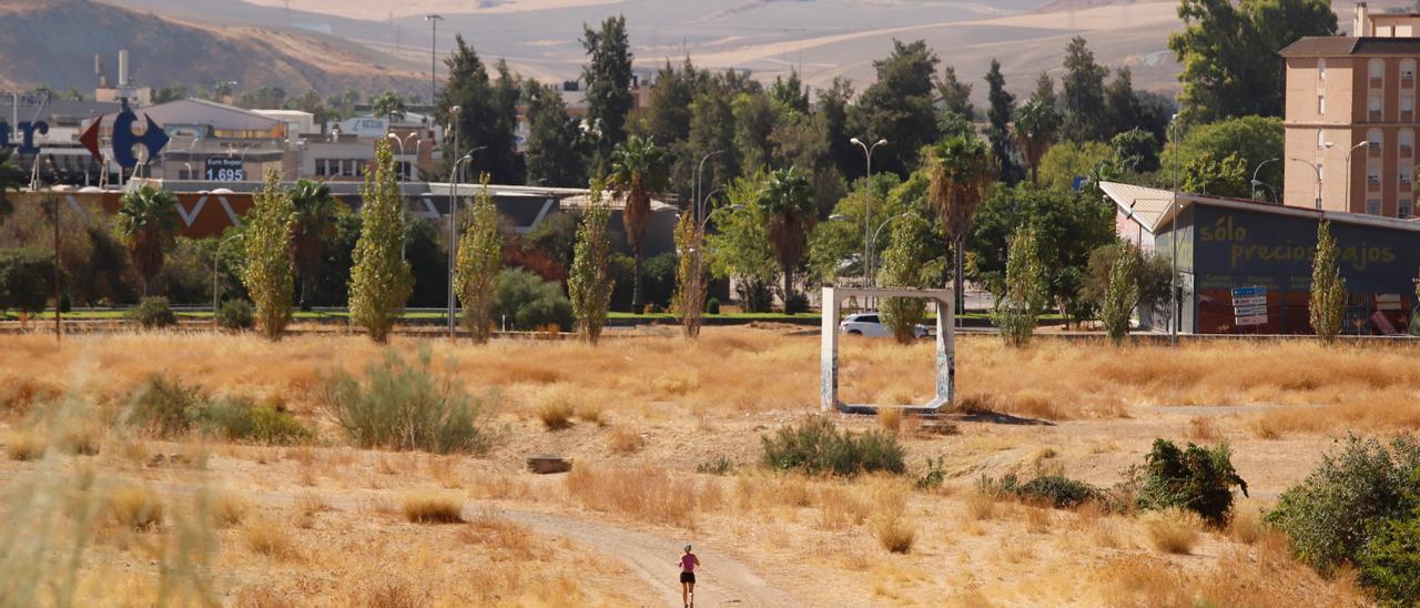 Piscinas, zona de escalada, pistas de patinaje y una tirolina de 30 metros integrarán el Parque de Levante