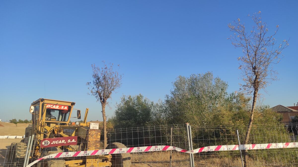 Los árboles del parque de Levante vuelven a secarse por segunda vez