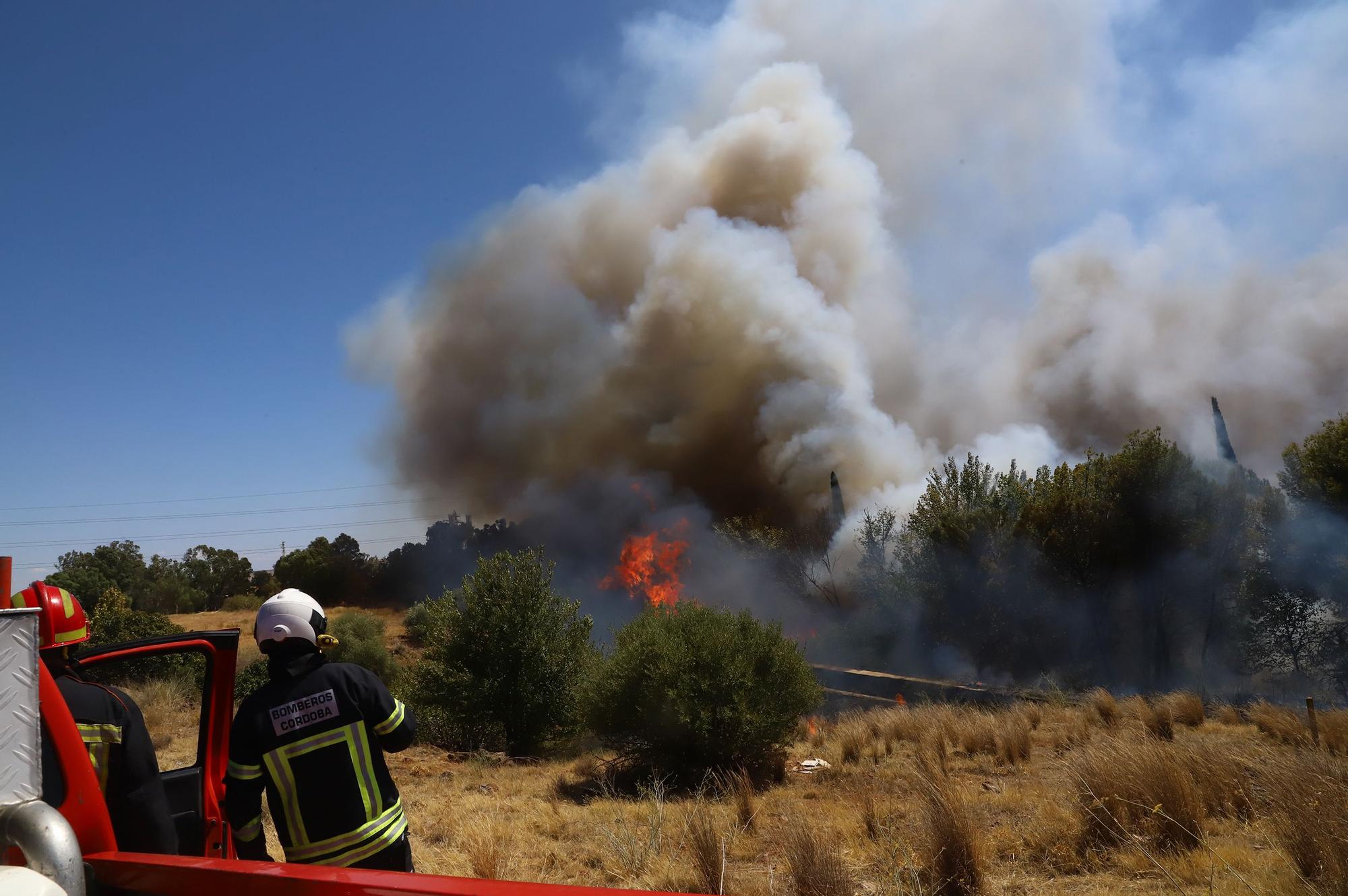 Incendio de grandes dimensiones en la antigua Pérez Giménez (Chinales)