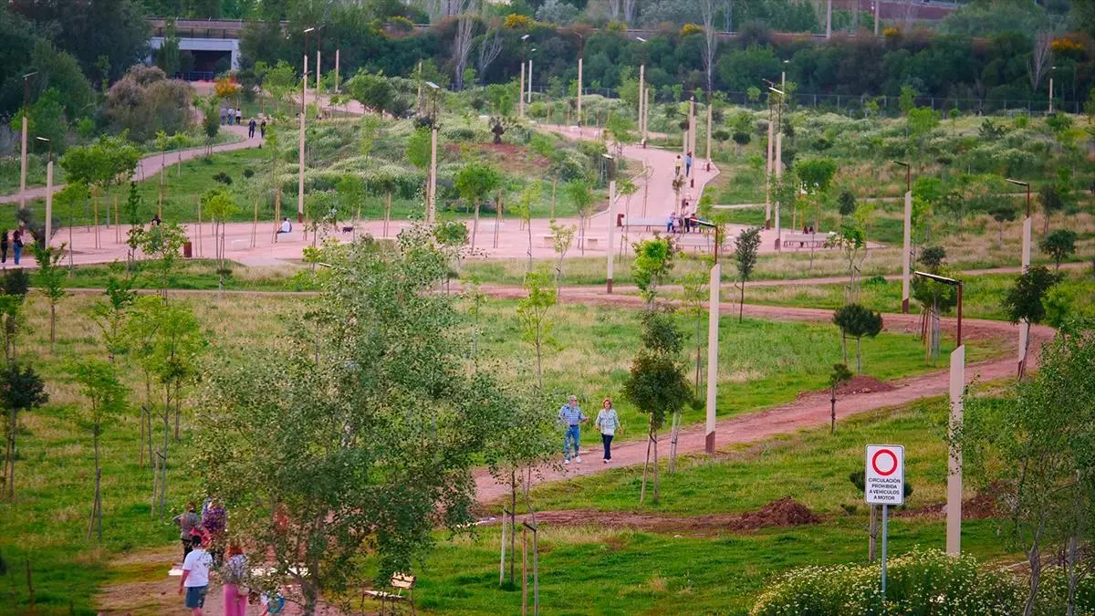 Urbanismo completa el mobiliario urbano, iluminación y arbolado en la zona norte del Parque de Levante