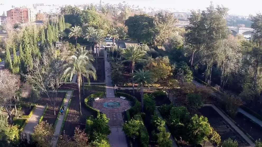El Jardín Botánico de Córdoba lanza 183 plazas para talleres de huertos urbanos