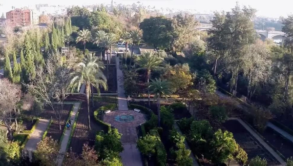El Jardín Botánico de Córdoba lanza 183 plazas para talleres de huertos urbanos
